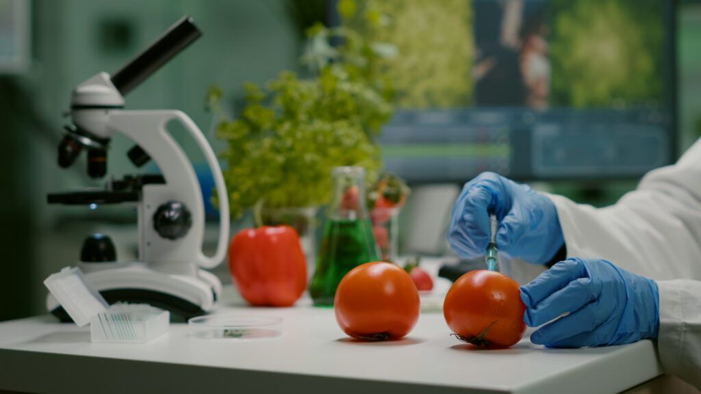haccp certification