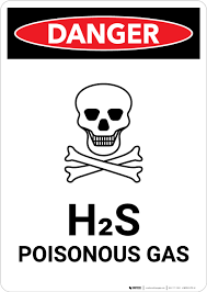 h2s Icon