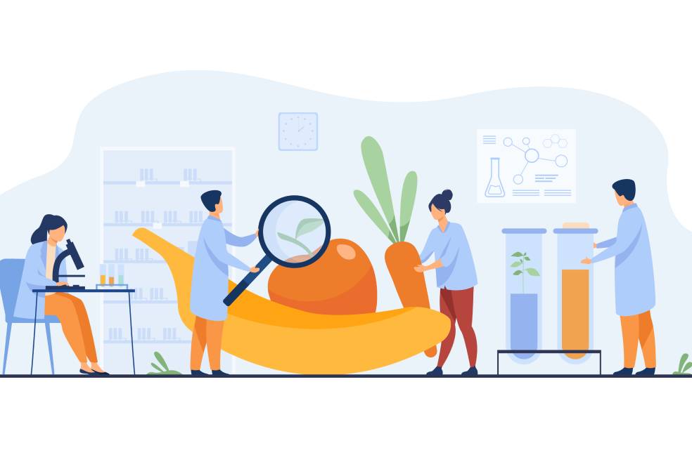 Food Safety Training 13 Food Safety Training